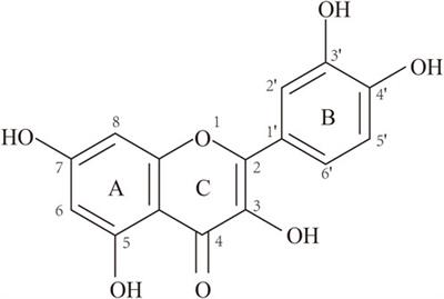 Pharmacological and mechanistic aspects of quercetin in osteoporosis